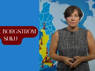 anne borgström suku