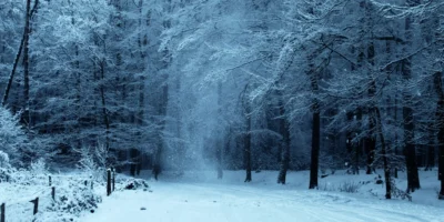 Parhaat pelivinkit talvi-iltoihin