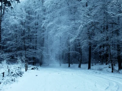 Parhaat pelivinkit talvi-iltoihin