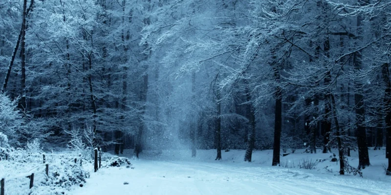 Parhaat pelivinkit talvi-iltoihin